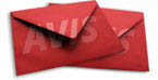Newsletter Avis